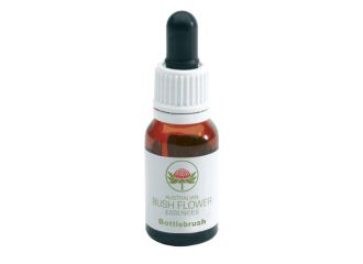 Bottlebrush gocce 15 ml