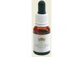 Dog rose australian gtt 15ml