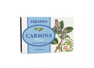 Carmina plus 24 compresse 19,2 g