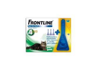 Frontline*3pip gatti