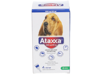 Ataxxa spoton*4pip 25-40kg