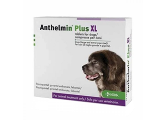 Anthelmin plus xl*2cpr