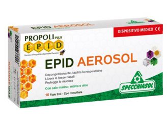 Epid aerosol 10 fiale x 2 ml