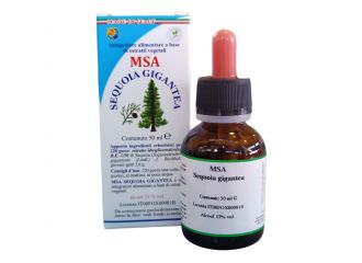 Msa sequoia gigantea 50 ml