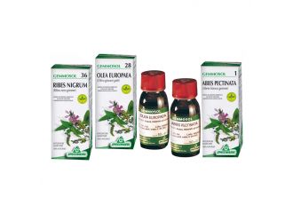 Gemmosol 36 ribes nero macerato glicerico 100 ml