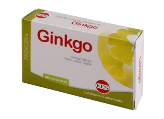 Ginkgo biloba estratto secco 60 compresse