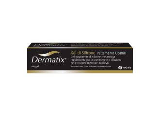 Dermatix gel 60 g np