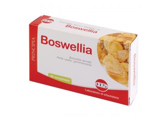 Boswellia estratto secco 60 compresse