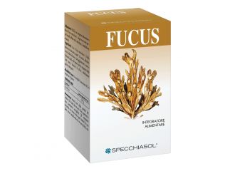 Fucus erbe 150tav