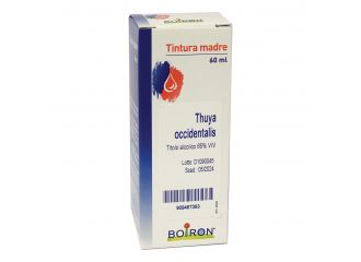 Thuya occ. tm  60ml