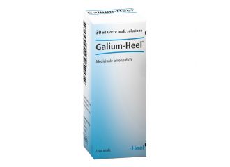 Galium gtt 30ml