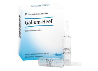 Galium 10 fiale 1,1ml