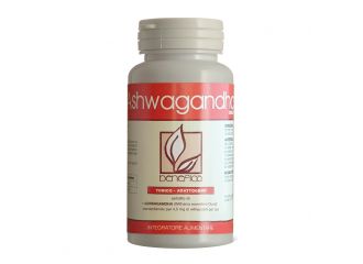 Ashwagandha dab 002 60 capsule