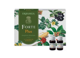 Forte plus 14fluido monod 10 ml