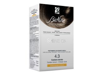 Bionike shine on capelli castano dorato 4.3