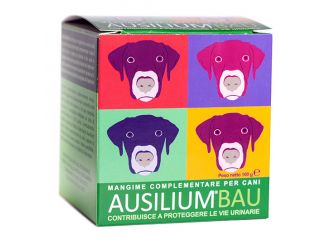 Ausilium bau 100 g