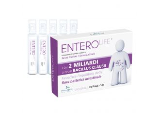 Enterolife 2 miliardi 20 fiale da 5 ml