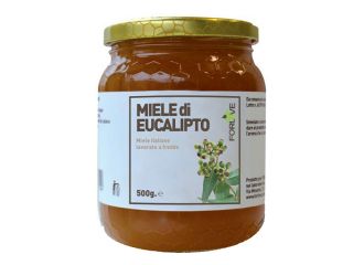 Miele di eucalipto 500 g