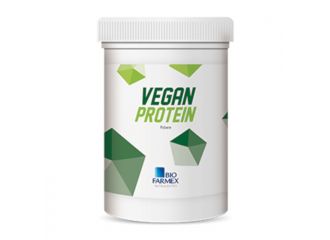 Vegan protein 500 g