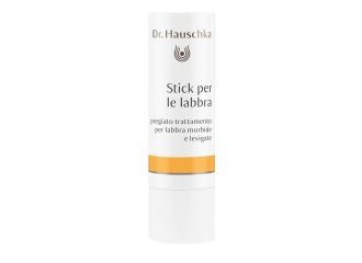 Dr hauschka stick labbra 4,9g