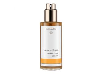 Dr hauschka loz purificante 100ml