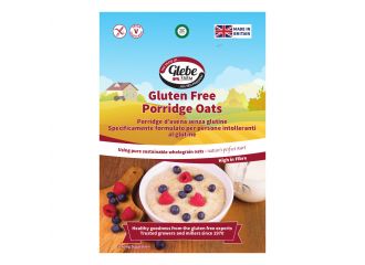 Glebe farm porridge avena 450 g