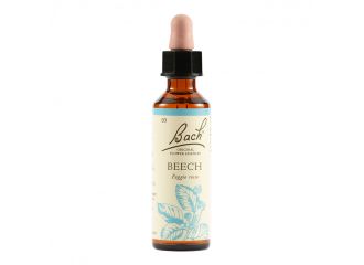 Beech bach orig 20 ml