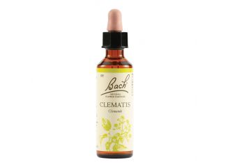 Clematis bach orig 20 ml