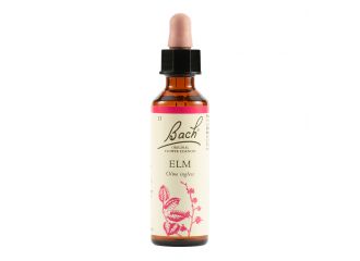 Elm bach orig 20 ml