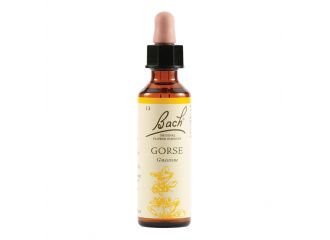 Gorse bach orig 20 ml