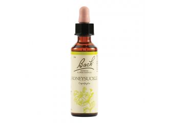 Honeysuckle bach orig 20 ml