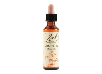 Mimulus bach orig 20 ml