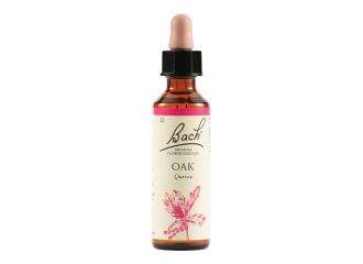 Oak bach orig 20 ml