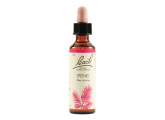 Pine bach orig 20 ml