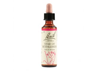 Star of bethl orig 20 ml