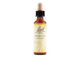 Wild oat bach orig 20 ml