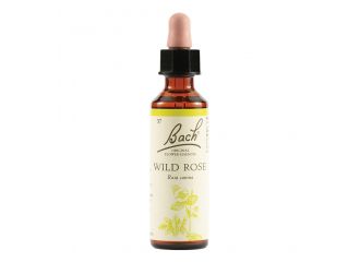 Wild rose bach orig 20 ml