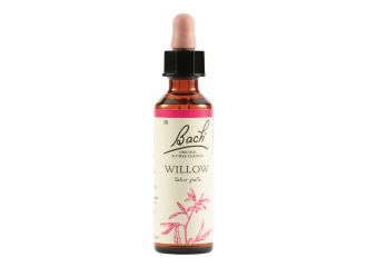 Willow bach orig 20 ml