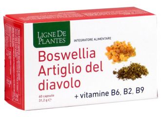 Boswellia artiglio diavolo vitamine b2 b6 b9 60 capsule