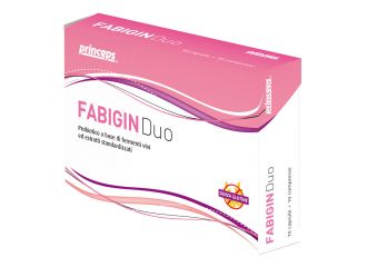 Fabigin duo 10 capsule 10 compresse