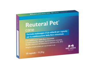 Reuteral pet cane 30 capsule