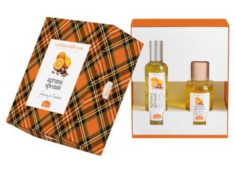 I profumi della casa set agrumi speziati 1 fragranza ambiente spray 100 ml + bastoncini aromatici ambiente 100 ml