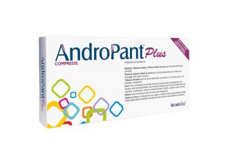 Andropant plus 30 compresse