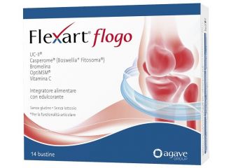 Flexart flogo 14 bustine