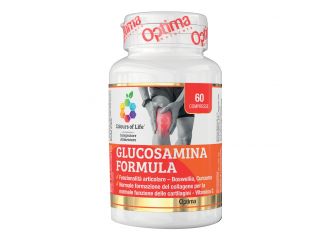 Glucosamina formula 60 compresse colours of life