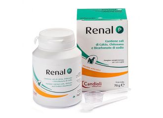 Renal p mangime complementare per cani e gatti barattolo 70 g