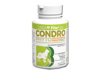 Condrophyto 60 compresse 2 g