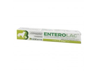 Enterolac pasta siringa 15 g