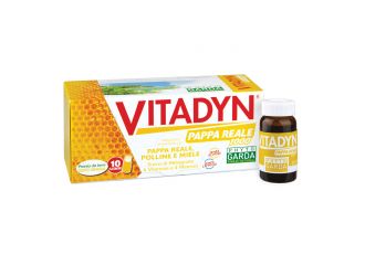 Vitadyn pappa reale 1000 10 flaconcini 10 ml