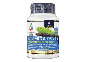 Colours of life vitamina d3 veg 60 capsule 500 mg